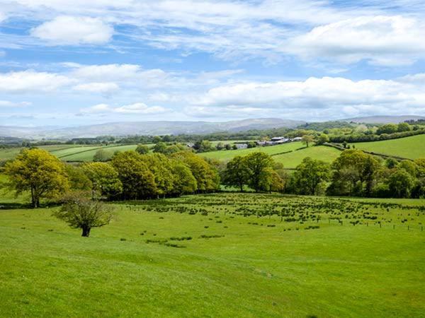 Black Mountain View Llanafan-fawr Екстер'єр фото